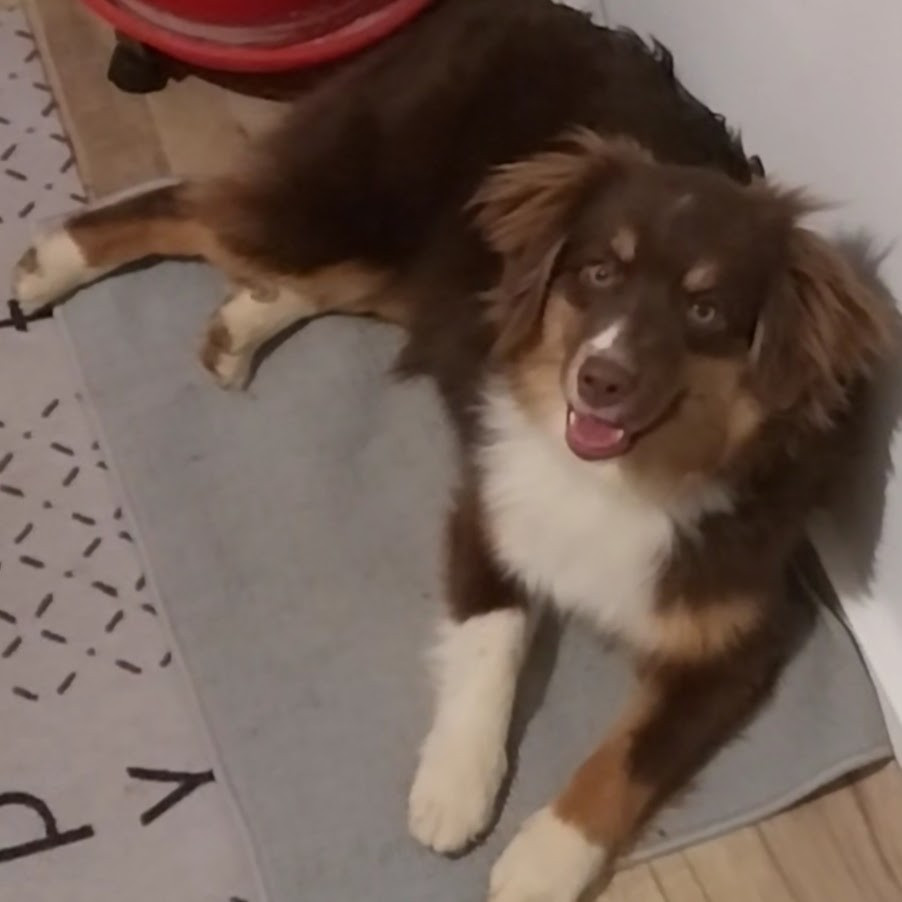 victory moon vahine Of Mountains Love